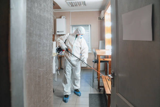 Best Commercial Mold Inspection  in Chuluota, FL