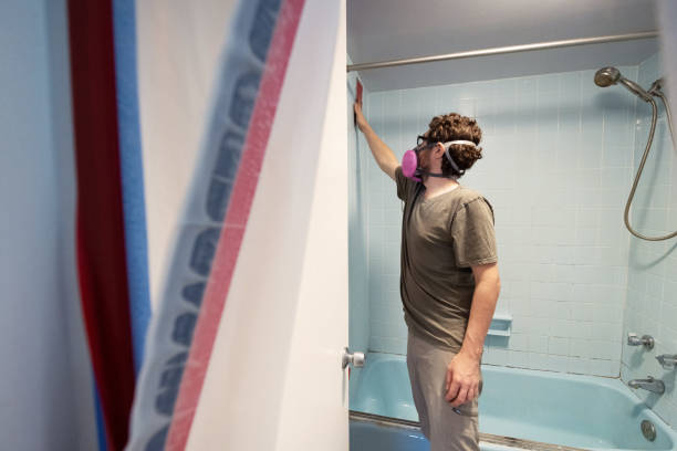  Chuluota, FL Mold Removal Pros