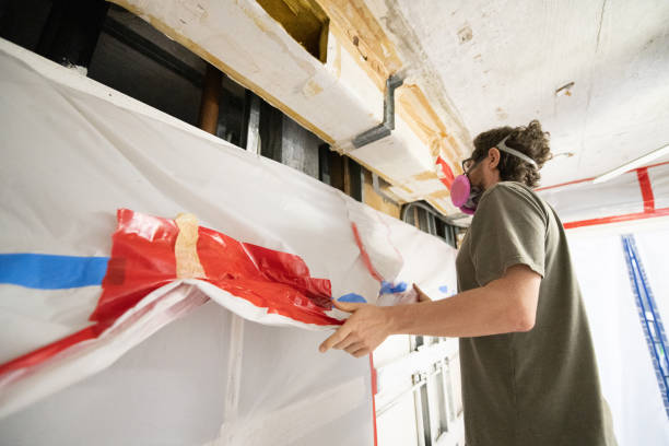 Best Attic Mold Removal  in Chuluota, FL