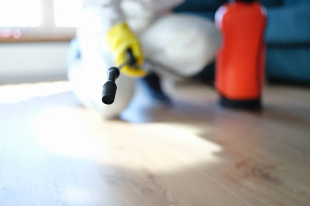 Best Industrial Mold Remediation  in Chuluota, FL