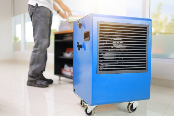 Best Indoor Air Quality Assessment  in Chuluota, FL