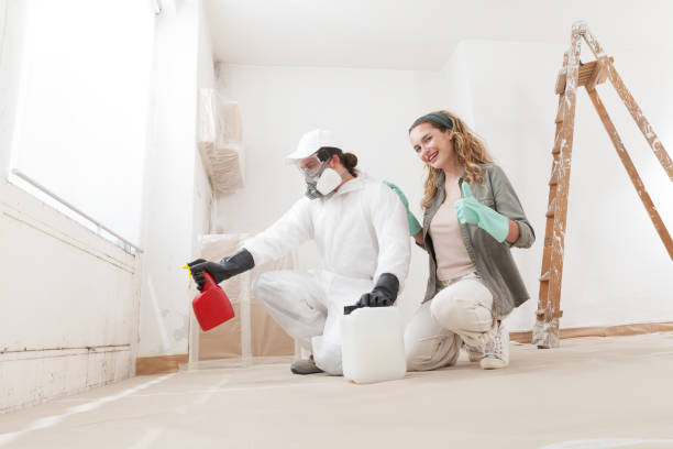 Best Mold Removal for HVAC Installations  in Chuluota, FL