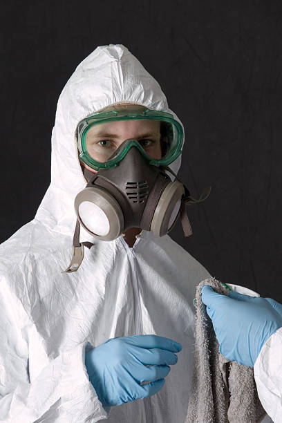 Best Emergency Mold Remediation  in Chuluota, FL